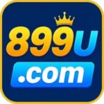 899u game