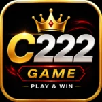 C222 Game
